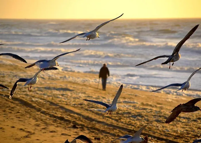 Pavillon Eaux Vives A Pierre La *